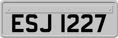 ESJ1227