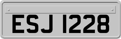 ESJ1228