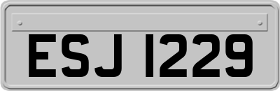 ESJ1229