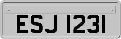 ESJ1231