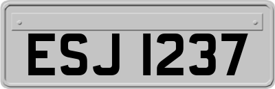 ESJ1237