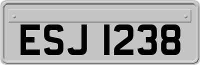 ESJ1238