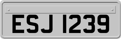 ESJ1239