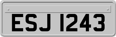 ESJ1243