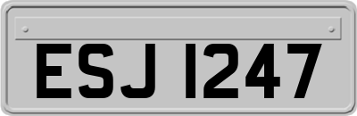 ESJ1247