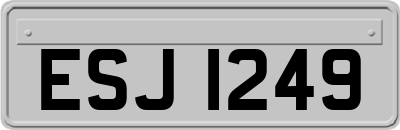 ESJ1249