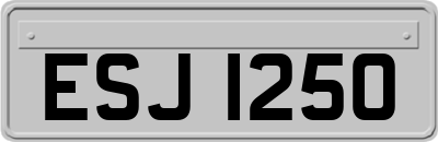 ESJ1250