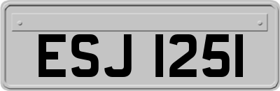 ESJ1251