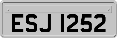 ESJ1252