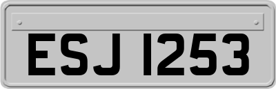 ESJ1253
