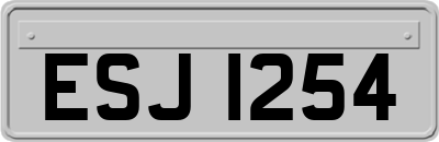 ESJ1254