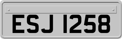 ESJ1258