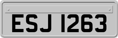 ESJ1263