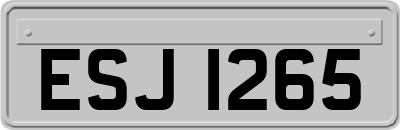 ESJ1265