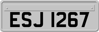 ESJ1267