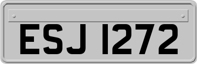 ESJ1272