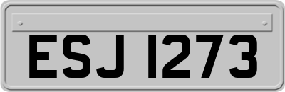 ESJ1273