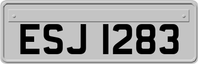 ESJ1283