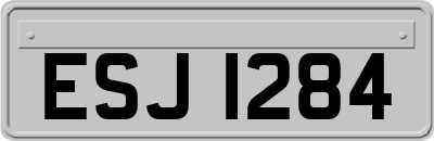 ESJ1284
