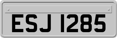 ESJ1285