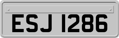 ESJ1286