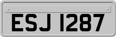 ESJ1287