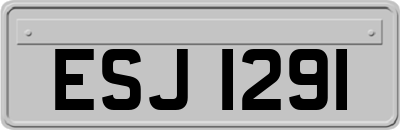 ESJ1291