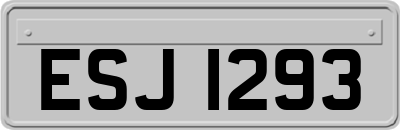 ESJ1293