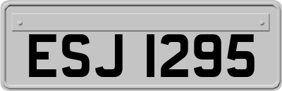 ESJ1295