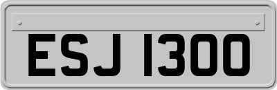 ESJ1300