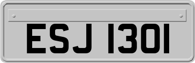 ESJ1301