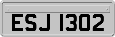 ESJ1302