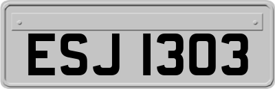 ESJ1303