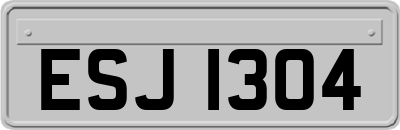 ESJ1304
