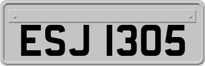 ESJ1305