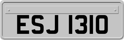 ESJ1310