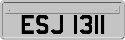 ESJ1311