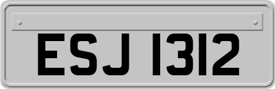 ESJ1312