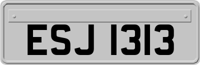 ESJ1313