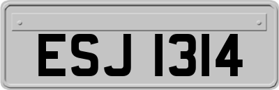 ESJ1314