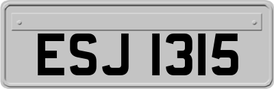 ESJ1315