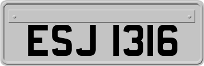 ESJ1316