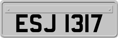 ESJ1317