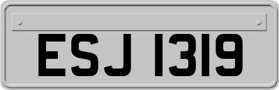 ESJ1319