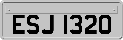 ESJ1320