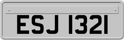 ESJ1321