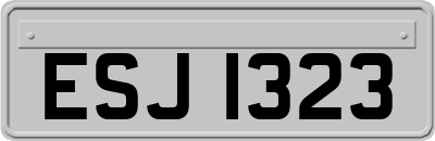 ESJ1323