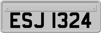 ESJ1324