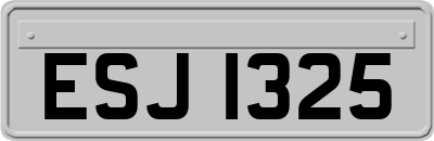 ESJ1325