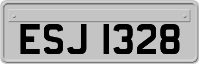 ESJ1328